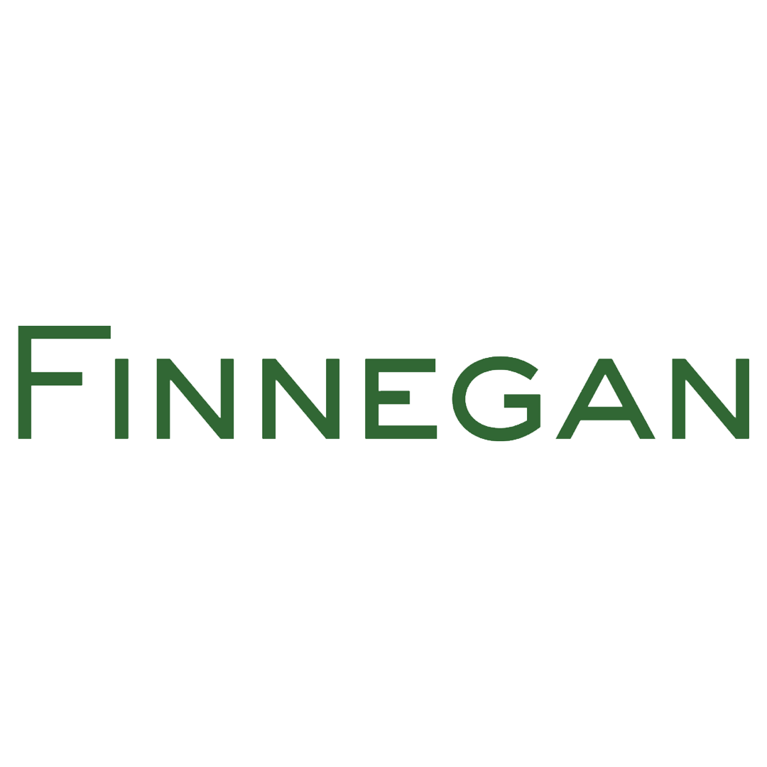 Finnegan